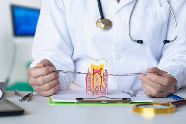 Best Emergency Denture Repair in North Bonneville, WA